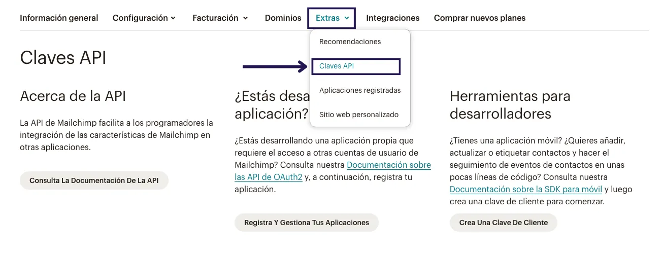 Select “API keys” in Extras
